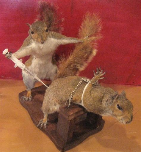 Best Funny Taxidermy Images On Pinterest Funny Taxidermy Atypical And Bad Taxidermy