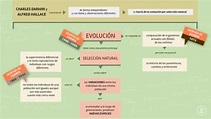 Seminario Darwin C3 - mapa conceptual