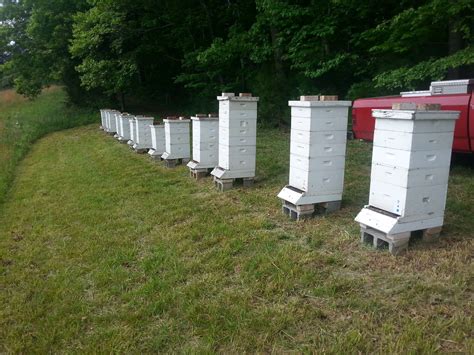 Triple J Honeybee Farms - Home