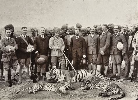Bengal Tiger Hunting British Royals And Indian Elite Colonial Era