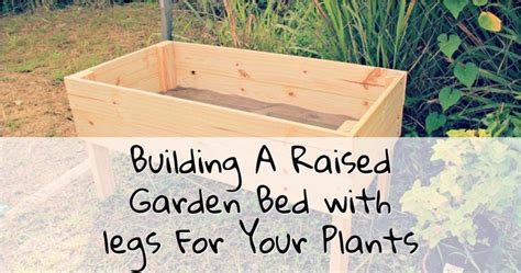 Building A Raised Garden Bed With Legs For Your Plants In 2020 Garden