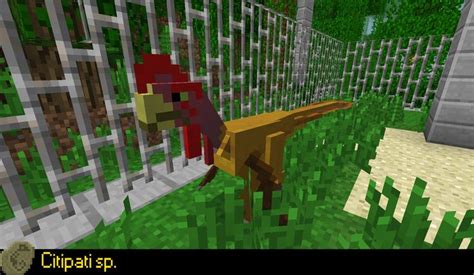 Dino mod here is the dino mod section version 0.2.0 it adds right now herobrine dinosaurs new prestoric world spawn eggs mo crafts craftable jetpacks realllly cooool mo swords mo items mo foods diggers commands to get started do /help. Minecraft Mob Idea: Citipati by https://www.deviantart.com ...