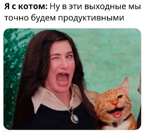 russian memes united on twitter me with my cat we will definitely be productive this weekend