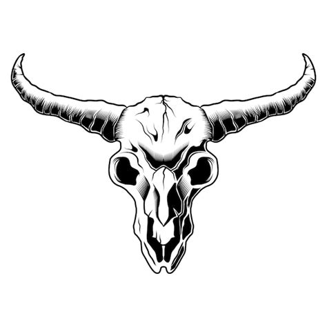 Premium Vector Skull Bull Head Black And White Drawing Longhorn