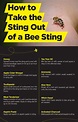 How To Get Rid Of Bee Stings - Crazyscreen21