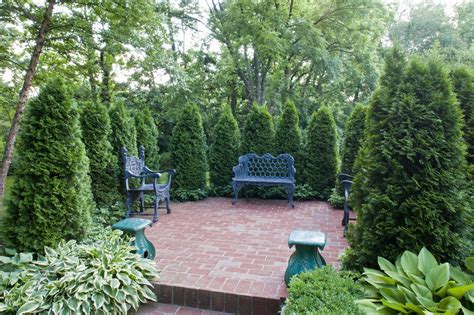 Emerald green arborvitae is the slowest grower of the arborviate group. 'Emerald Green' Arborvitae: Care and Growing Guide