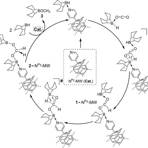 Scheme Proposed Mechanism For The Co Reduction Catalyzed By N Py Mw