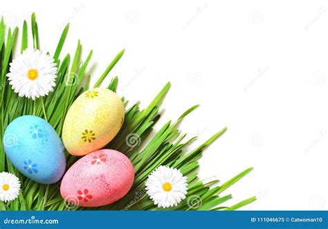 Easter Painting Eggs With Daisy On Fresh Green Grass Stock Image