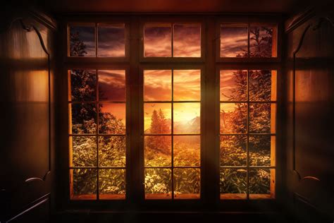 Download Tree Winter Sunset Artistic Window 4k Ultra Hd Wallpaper