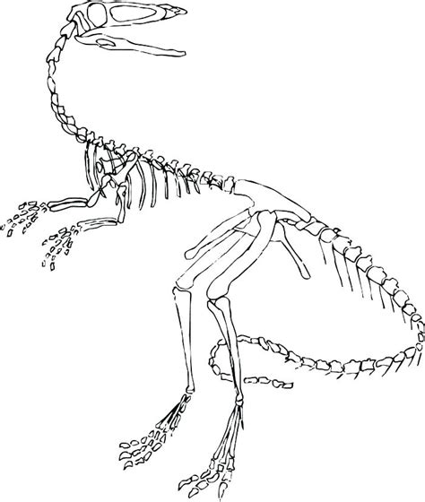 Jurassic World Raptor Coloring Pages At Getcolorings Com Free