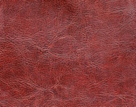 Leather Artificial Leather Textured Surface Of Artificial Or Natural