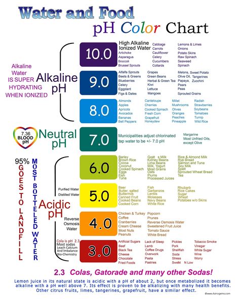 Water And Food Ph Color Chart Etsy Alkaline Foods Chart Alkaline Foods Food Charts