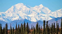 Denali National Park and Preserve, - Book Tickets & Tours ...