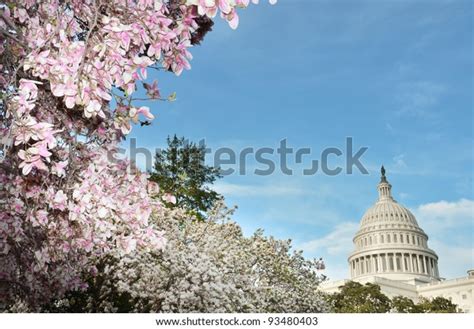United States Capitol Building Spring Washington Stock Photo Edit Now