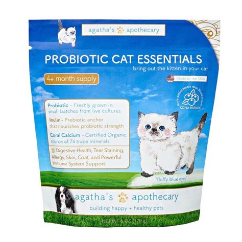 If your pet doesn't already have a diet with added probiotics and they start to suffer from diarrhea, a probiotic supplement can help to treat the diarrhea. Probiotic Cat Essentials | Cat essentials, Pet wellness ...