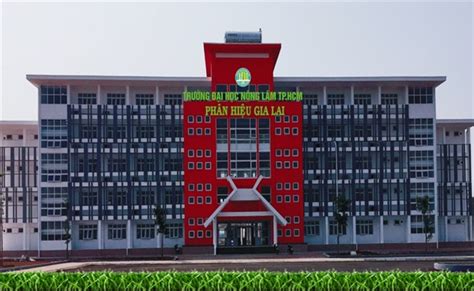 Điểm Chuẩn Trường Đại Học Nông Lâm Tp Hcm Phân Hiệu Tại Gia Lai