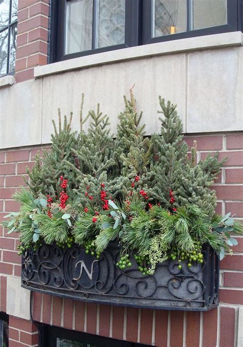 Decorating Window Boxes For Winter