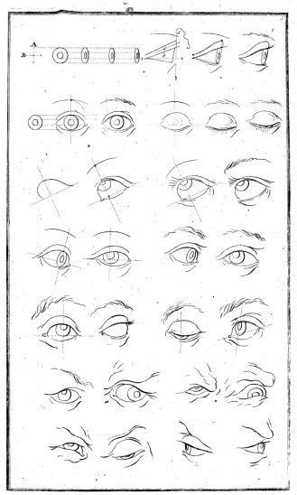 12 Astounding Learn To Draw Eyes Ideas Arte De Anatomía Humana