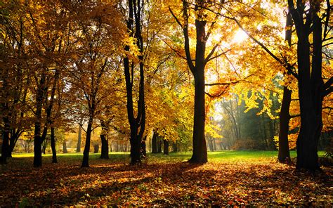 Autumn Season Wallpapers Hd Wallpapers Id 10197