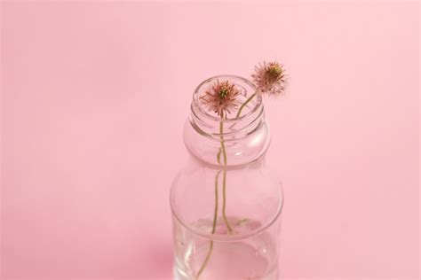 รูปภาพ มือ กลีบดอกไม้ กระจก แจกัน สีชมพู แสง ขวดแก้ว ดอกแดน