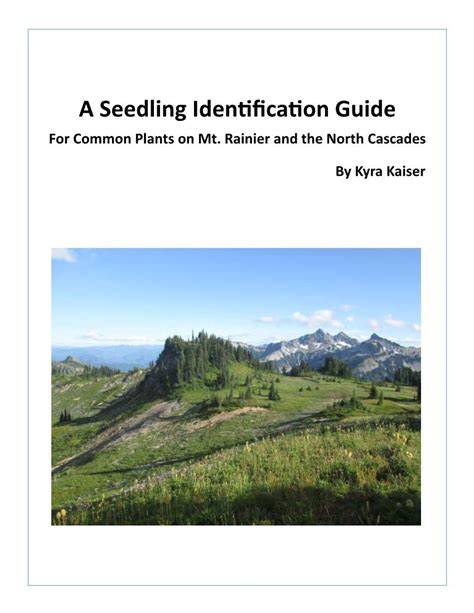 A Seedling Identification Guide For Common Plants On Mt DocsLib