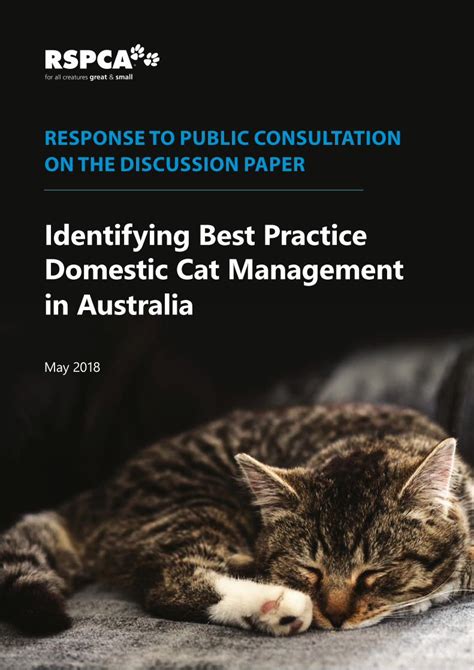 Pdf Identifying Best Practice Domestic Cat Management In Australia