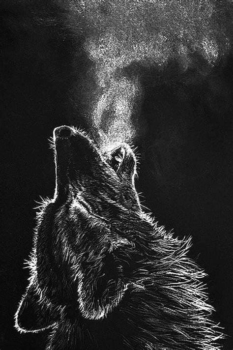 Hd Wallpapers Of Wolf For Mobile Wolf Wallpaperspro