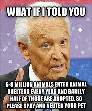 In the world of competitive spitting, gleeking would be considered a stealth fighter. Bob Barker Spay And Neuter Quote / Best Bob Barker Quotes With Images To Share And Download For ...