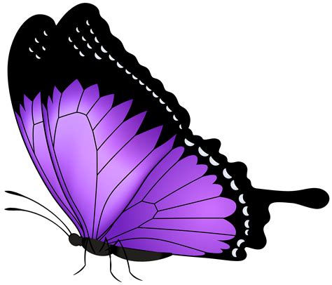 Wedding ivitation, scrapbooking, sublimation design set. Clipart butterfly violet, Clipart butterfly violet ...