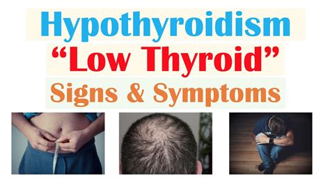 Signs Of Low Thyroid Level Hypothyroidism And Why Symptoms Occur Youtube