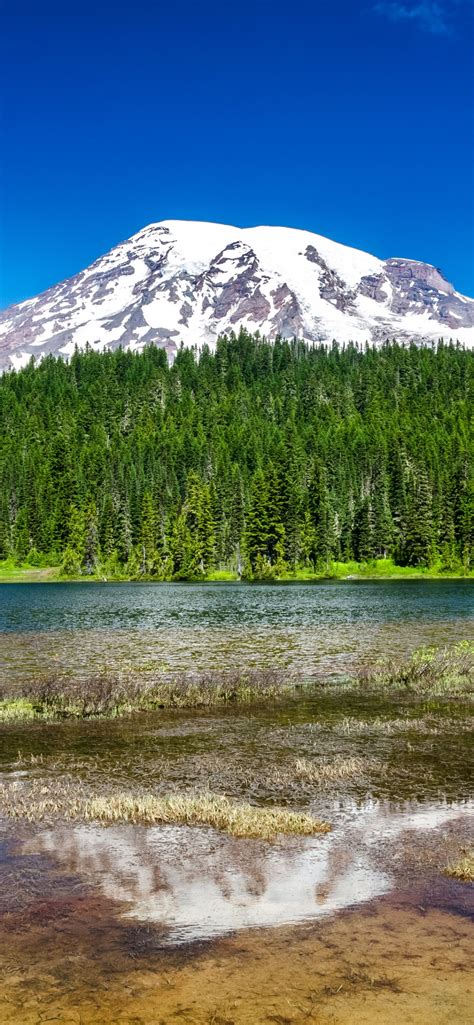 Mount Rainier National Park 4k Wallpaper Washington State Landscape