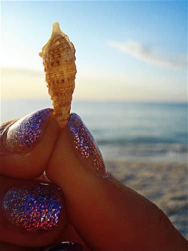 Sally Sells Sea Shells By The Sea Shore Jmarinello91 Flickr