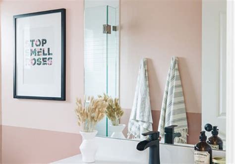 How To Decorate A Bathroom With Pink Walls Leadersrooms