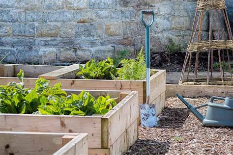 Your Ultimate Guide To Square Foot Gardening Gardeners Path
