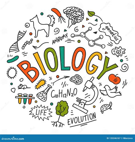 Biology Hand Drawn Doodles With Lettering Stock Vector Illustration