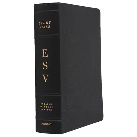 Esv Study Bible Buffalo Leather Deep Brown Mardel 3932928