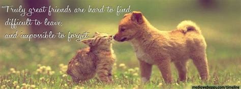 A good friendship is a conversation that never ends. Animals For > Dog And Cat Love Quotes | Cats & Dogs ...