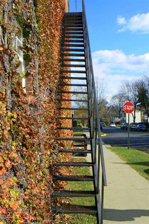 Does the idea of eating a. Wood Street, Clarion, PA | Beautiful mountains, Favorite ...