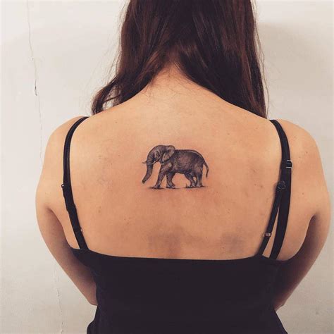 elephant tattoo tatuajes elephant tattoo design cute elephant tattoo elephant tattoos kulturaupice
