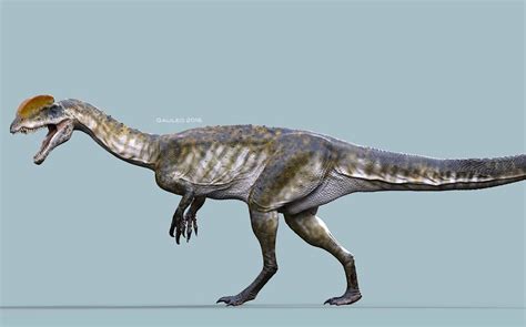 Dilophosaurus Test By Galileon Dilophosaurus Creature Picture Paleo Art