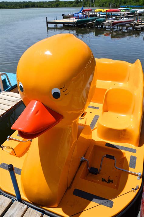 Duck Boats On Lake Wingra Clean Lakes Alliance