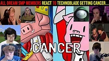 What happened to Technoblade? Does Technoblade have cancer? Minecraft ...