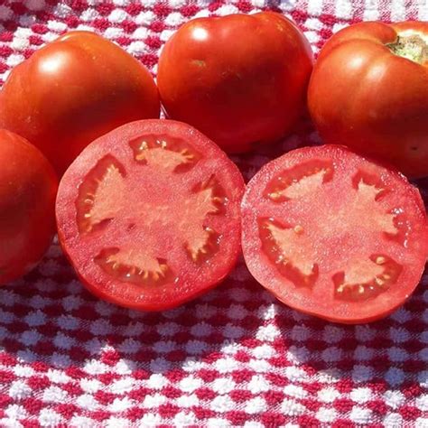 Beefsteak Tomato Seeds 4 G ~1000 Seeds Vegetable