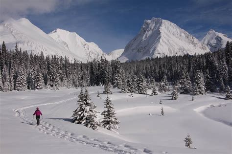 Winter Exploring in Alberta's Provincial Parks, Canada - Snowshoe Magazine