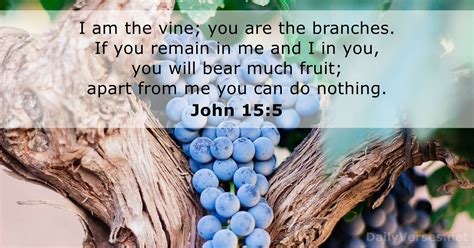 John 15 5 Bible Verse
