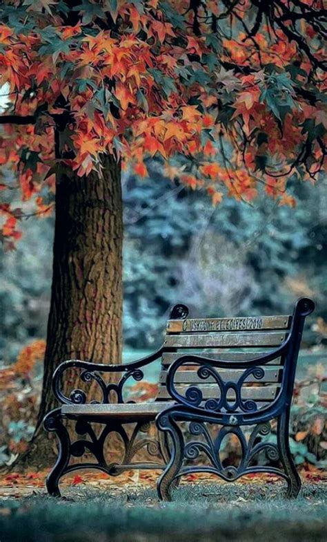 Pin By Judy Bent On Autumn Background Images Hd Dslr Background