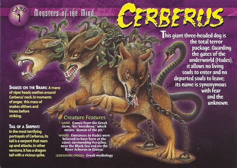Image Cerberus Front Weird N Wild Creatures Wiki Fandom