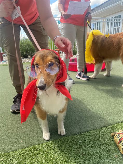 Our Pet Parade was fur-tastic!... - The Willows at Howell