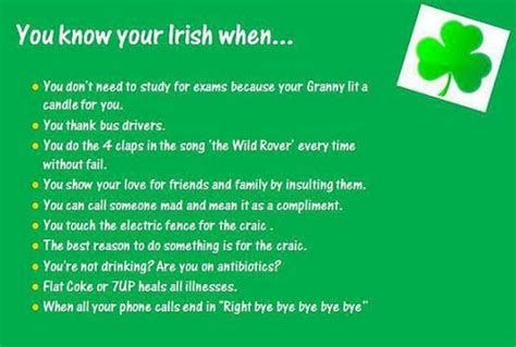A Green Poster With The Words You Know Your Irish When