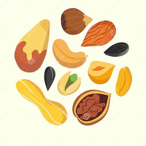 Nuts On White Background Stock Vector Illustration Of Icon 62418222